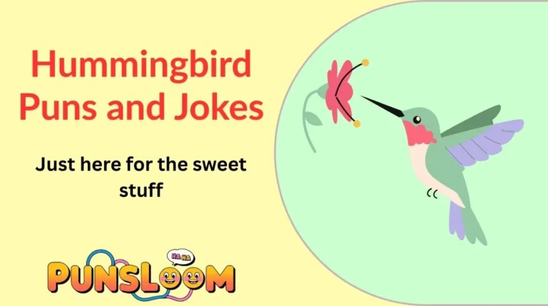 Hummingbird Puns and Jokes